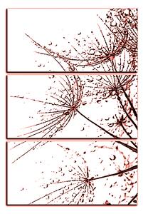 Obraz na plátne - Pampeliškové semienka s kvapkami vody - obdĺžnik 7202KB (90x60 cm )
