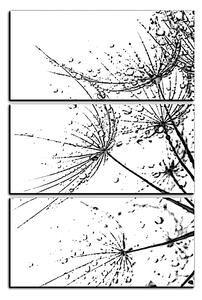 Obraz na plátne - Pampeliškové semienka s kvapkami vody - obdĺžnik 7202QB (90x60 cm )