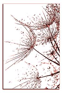 Obraz na plátne - Pampeliškové semienka s kvapkami vody - obdĺžnik 7202KA (90x60 cm )
