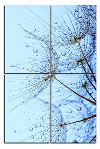 Obraz na plátne - Pampeliškové semienka s kvapkami vody - obdĺžnik 7202E (90x60 cm)
