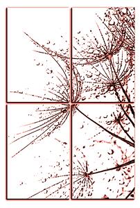 Obraz na plátne - Pampeliškové semienka s kvapkami vody - obdĺžnik 7202KE (90x60 cm)