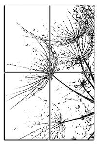 Obraz na plátne - Pampeliškové semienka s kvapkami vody - obdĺžnik 7202QE (90x60 cm)