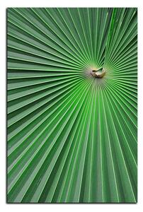 Obraz na plátne - Tropické listy - obdĺžnik 7205A (90x60 cm )