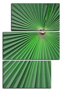 Obraz na plátne - Tropické listy - obdĺžnik 7205D (90x60 cm)