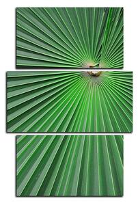 Obraz na plátne - Tropické listy - obdĺžnik 7205C (90x60 cm)