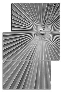 Obraz na plátne - Tropické listy - obdĺžnik 7205QD (120x80 cm)