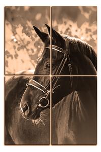 Obraz na plátne - Čierny kôň - obdĺžnik 7220FE (90x60 cm)