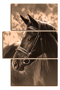 Obraz na plátne - Čierny kôň - obdĺžnik 7220FD (90x60 cm)