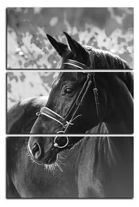 Obraz na plátne - Čierny kôň - obdĺžnik 7220QB (90x60 cm )