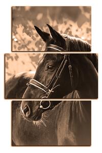 Obraz na plátne - Čierny kôň - obdĺžnik 7220FC (120x80 cm)