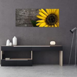 Obraz - Kvet slnečnice (120x50 cm)