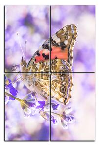 Obraz na plátne - Motýľ na levandule - obdĺžnik 7221E (120x80 cm)
