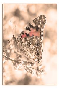 Obraz na plátne - Motýľ na levandule - obdĺžnik 7221FA (90x60 cm )
