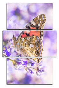 Obraz na plátne - Motýľ na levandule - obdĺžnik 7221C (90x60 cm)