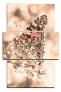 Obraz na plátne - Motýľ na levandule - obdĺžnik 7221FC (120x80 cm)