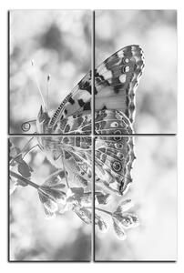 Obraz na plátne - Motýľ na levandule - obdĺžnik 7221QE (90x60 cm)