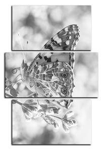 Obraz na plátne - Motýľ na levandule - obdĺžnik 7221QC (120x80 cm)