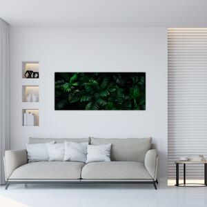 Obraz - Tropické papradie (120x50 cm)