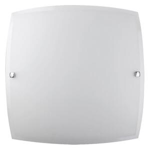 Rabalux 3688 - Stropné svietidlo NEDDA 1xE27/60W/230V