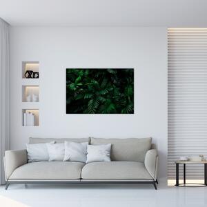 Obraz - Tropické papradie (90x60 cm)