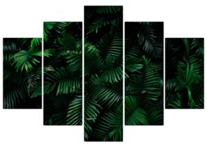 Obraz - Tropické papradie (150x105 cm)
