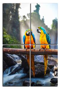 Obraz na plátne - Modro žlté Macaw - obdĺžnik 7232E (120x80 cm)