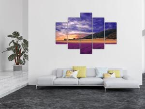 Obraz levanduľovej lúky (150x105 cm)