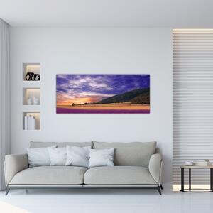 Obraz levanduľovej lúky (120x50 cm)