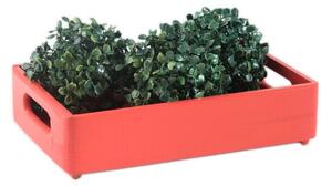 ČistéDrevo Drevená debnička 30 x 20 x 7 cm - červená