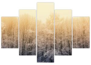 Obraz mrazivého lesa (150x105 cm)