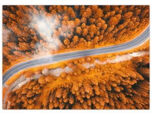 Obraz - Horská cesta (70x50 cm)
