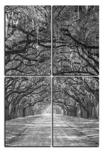 Obraz na plátne - Historické dubové stromy lemované poľnou cestou - obdĺžnik 7239QE (90x60 cm)