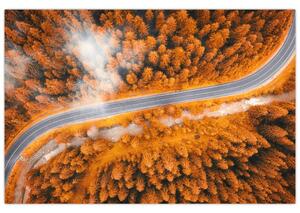 Obraz - Horská cesta (90x60 cm)