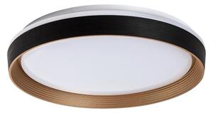Rabalux 71308 - LED Stm. stropné svietidlo LADAN LED/48W/230V 3000-6500K + DO
