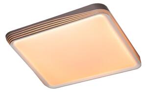 Rabalux 71166 - LED stropné svietidlo DRUZOR LED/40W/230V 3000K