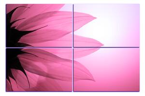 Obraz na plátne - Slnečnica kvet 1201VE (120x80 cm)