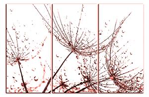 Obraz na plátne - Pampeliškové semienka s kvapkami vody 1202KB (90x60 cm )