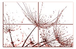 Obraz na plátne - Pampeliškové semienka s kvapkami vody 1202KE (90x60 cm)