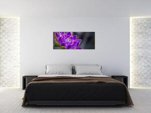 Obraz kvetu (120x50 cm)