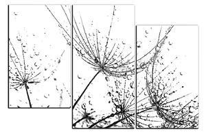 Obraz na plátne - Pampeliškové semienka s kvapkami vody 1202QD (150x100 cm)