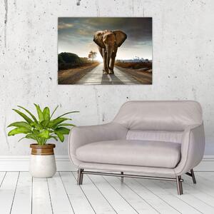 Obraz slona (70x50 cm)