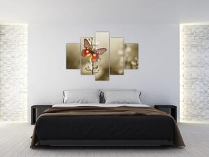 Obraz motýľa (150x105 cm)