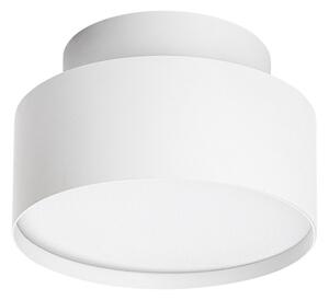 Rabalux 71325 - LED stropné svietidlo OVIDIA LED/24W/230V 3000K biela