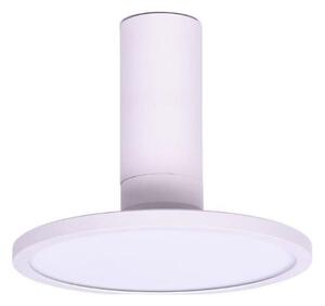 Rabalux 71328 - LED Stropné svietidlo OVIDIA LED/20W/230V 3000K biela