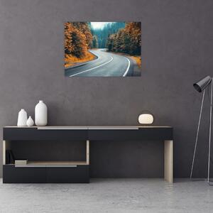 Obraz - Kľukatá cesta (70x50 cm)