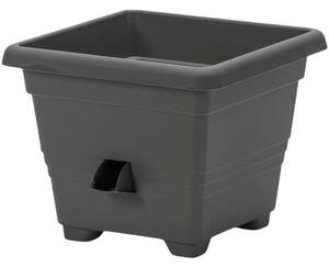 Plastia Kvetináč samozavlažovací Bergamot - 25x25 cm antracit, 25 x 25 cm