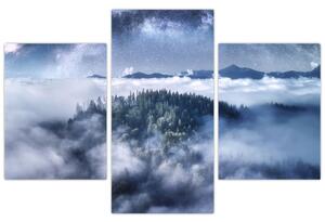 Obraz lesa v hmle (90x60 cm)