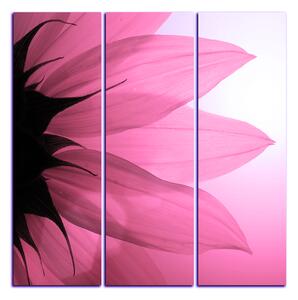 Obraz na plátne - Slnečnica kvet - štvorec 3201VB (75x75 cm)