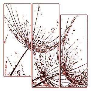 Obraz na plátne - Pampeliškové semienka s kvapkami vody - štvorec 3202KC (105x105 cm)