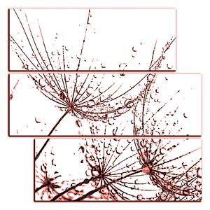 Obraz na plátne - Pampeliškové semienka s kvapkami vody - štvorec 3202KD (75x75 cm)